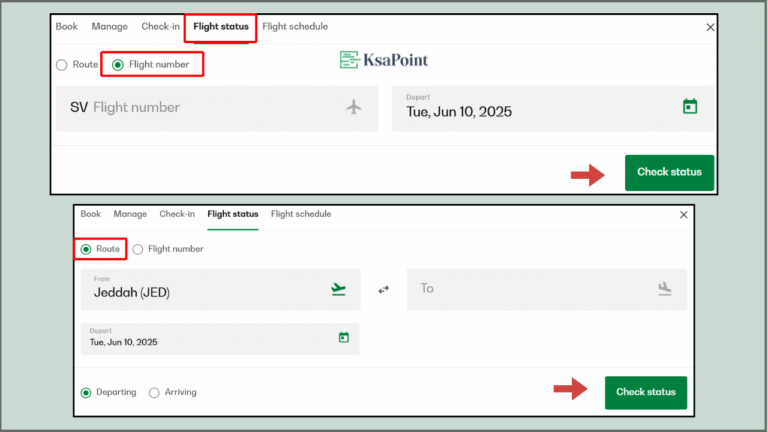 Saudi Arabia visual data 8