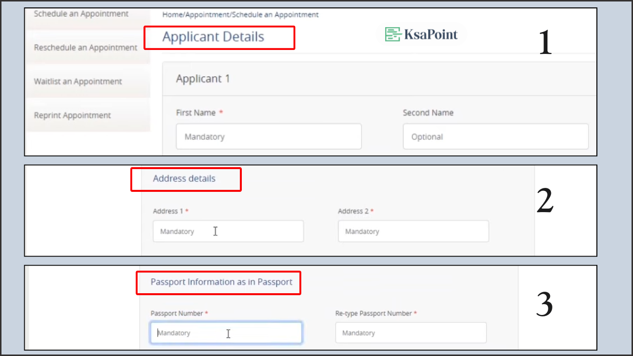 Tasheer Appointment - Passport Details