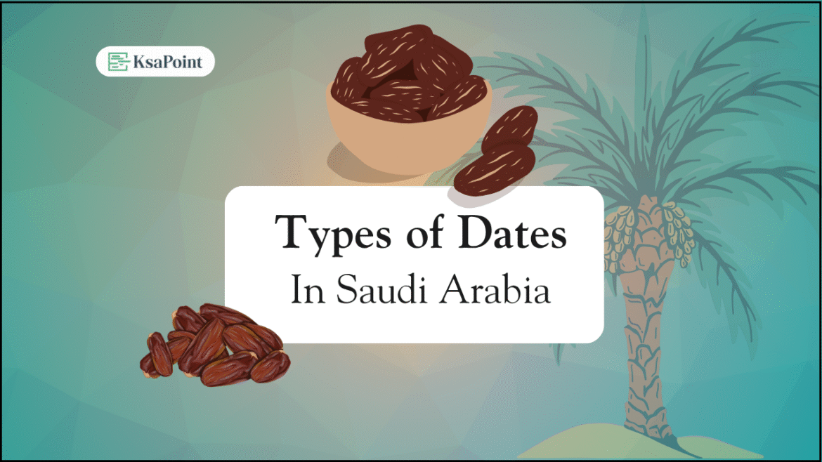 Types of Dates in Saudi Arabia