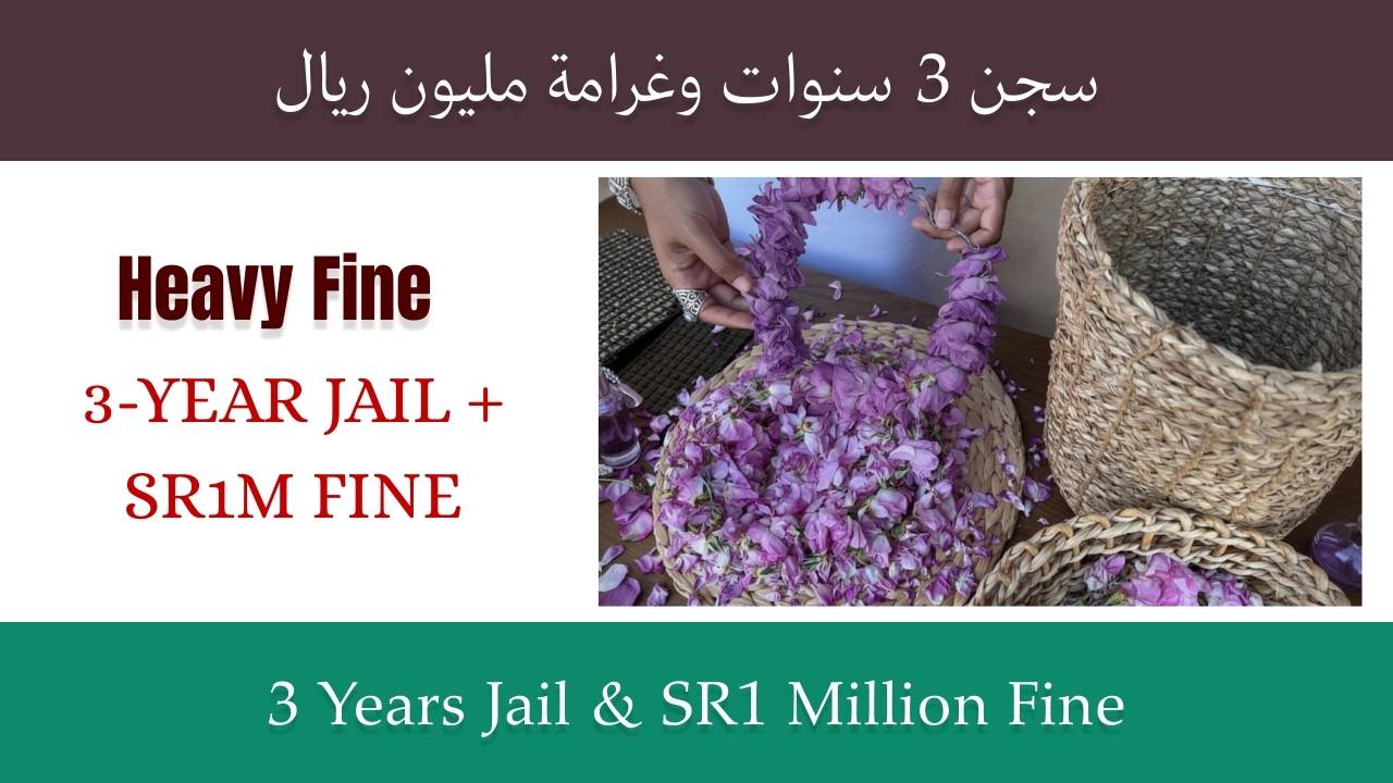 Saudi officials reviewing new law on geographical indications