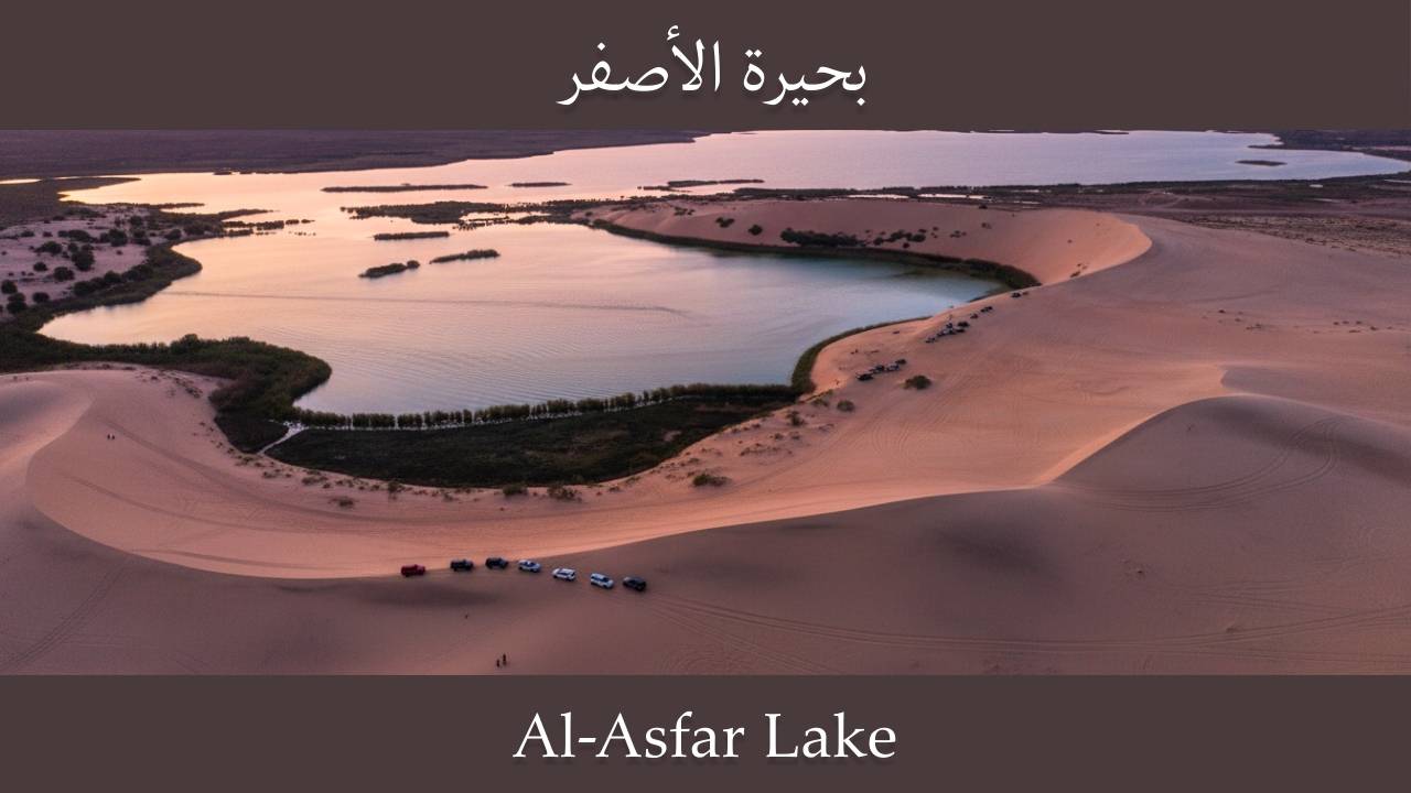 Al-Asfar Lake aerial view showing turquoise water surrounded by golden sand dunes and desert vegetation in al-Ahsa