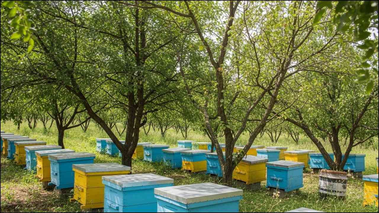 Traditional Honey Production 
