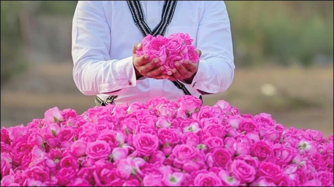 Three Types of Taif Rose Water